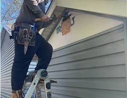 Best Fascia and Soffit Installation  in The Woodlands, TX